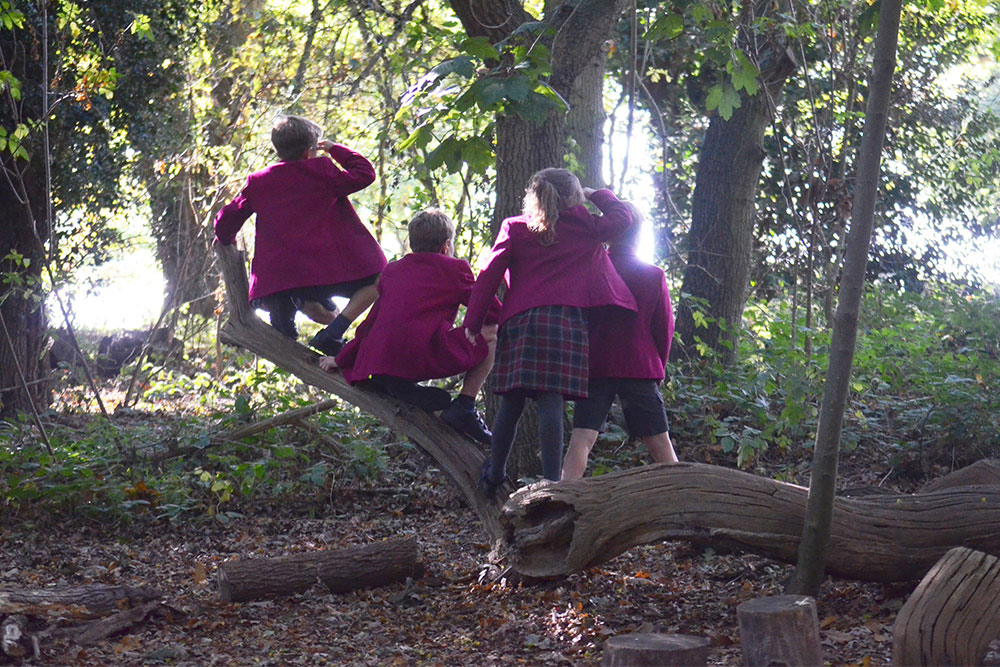 Ipswich High School pupils enjoying outdoor education