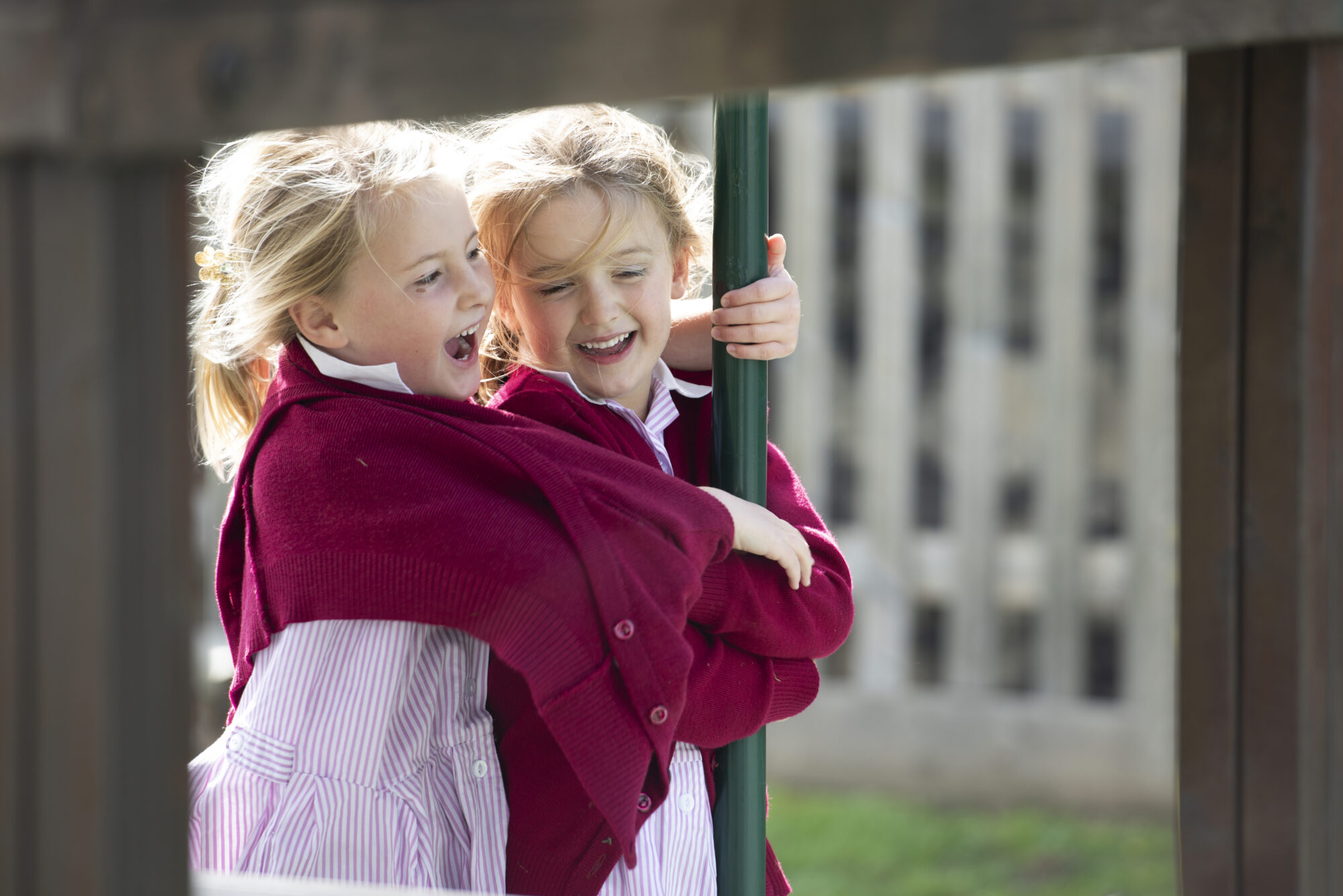 IHSBrochureWeb-57-AnthonyCullenc-scaled