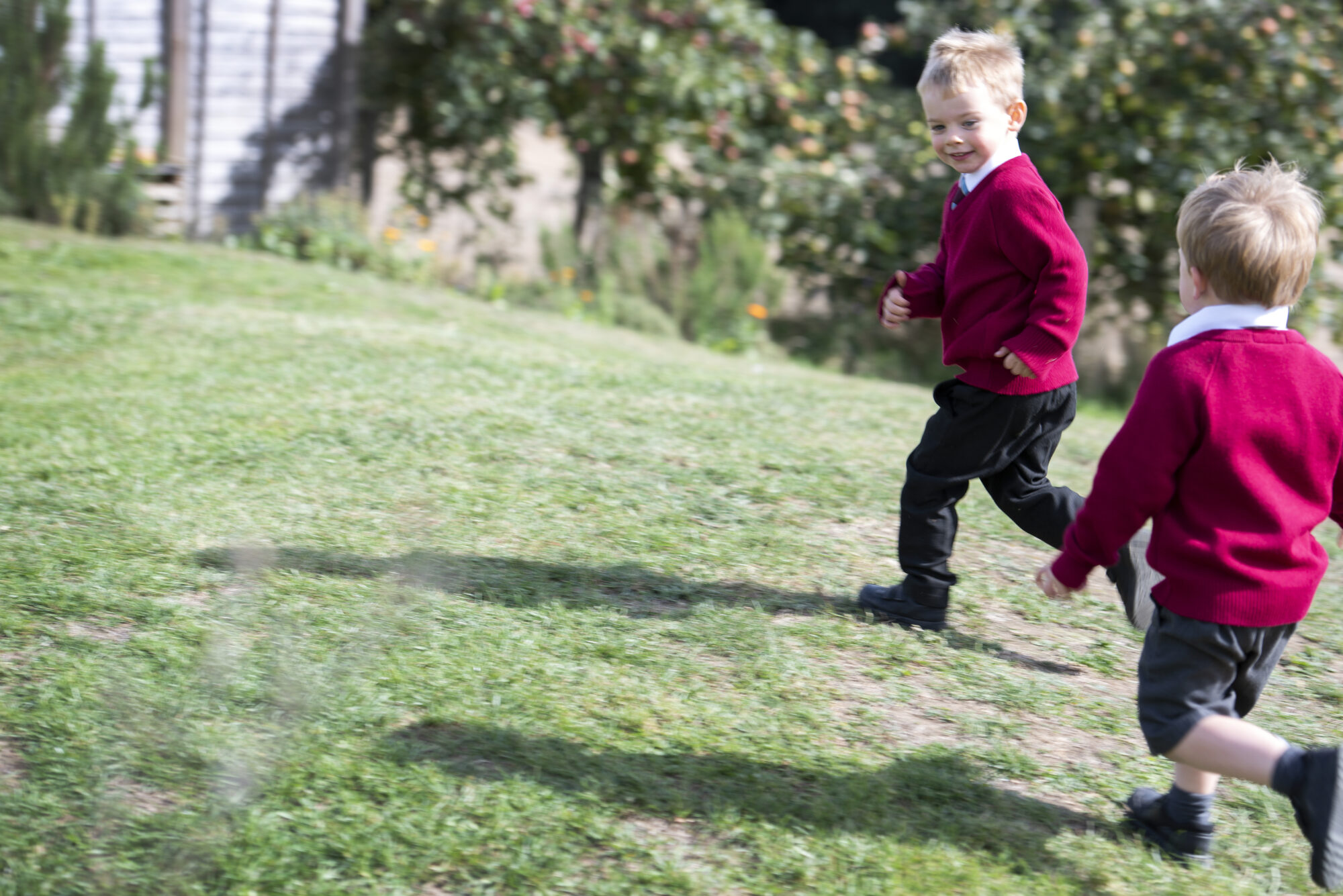 IHSBrochureWeb-59-AnthonyCullenc-scaled