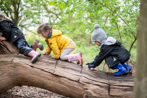 Prep Forest School